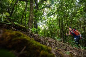 BIB: 
                            <button type="button" onclick="openModal(16008383)" class="btn btn-primary btn-sm float-right btn-popup" data-toggle="modal" data-target=".modal-high-quality">
                        <i class="fas fa-shopping-cart"></i> Add to Cart
                    </button>
                                            <button type="button" onclick="isThisMe(16008383, true)" class="btn btn-success btn-sm float-right btn-popup btn-isme hidden" data-toggle="tooltip" data-placement="bottom" title="นี่คือรูปของคุณใช่ไหม คลิกที่นี่เพื่อเอาเข้าอัลบั้ม">
                        <i class="fas fa-plus"></i> Add to album
                    </button>
                    <button type="button" onclick="isThisMe(16008383, false)" class="btn btn-warning btn-sm float-right btn-popup btn-isnotme hidden">
                        <i class="fas fa-ban"></i> Remove from album
                    </button>